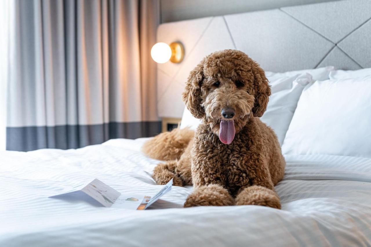 Residence Inn By Marriott Слау Екстериор снимка